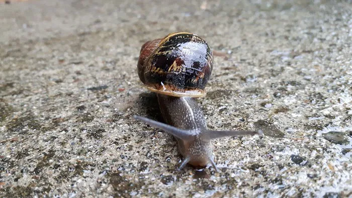 Woahink Lake RV Resort Picture 1