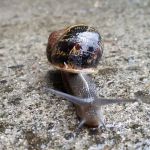 Woahink Lake RV Resort