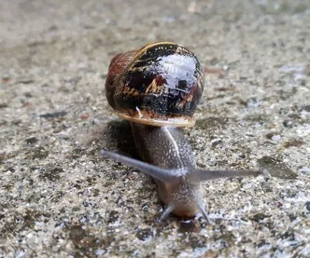 Woahink Lake RV Resort