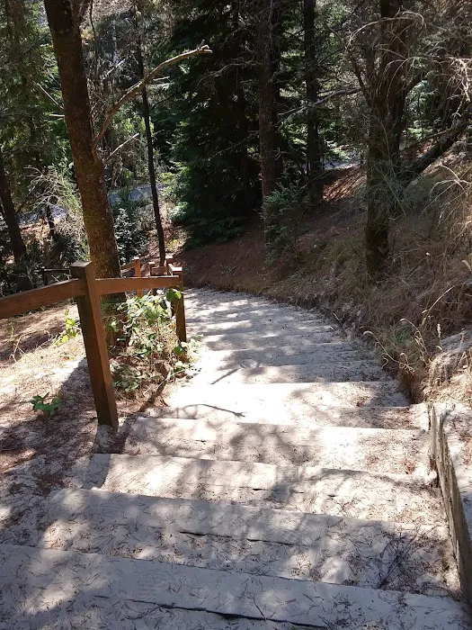 Woahink Lake RV Resort Picture 9