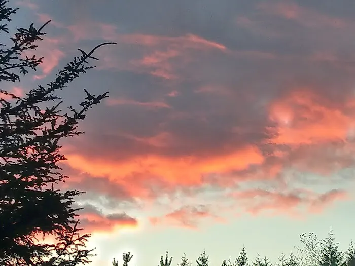 Woahink Lake RV Resort Picture 3