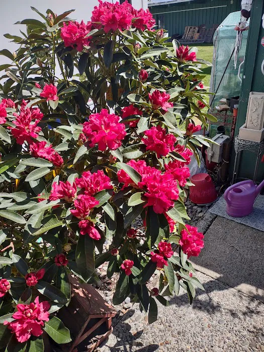 Lakeshore RV Park Picture 8