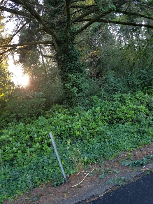 Lakeshore RV Park Picture 7