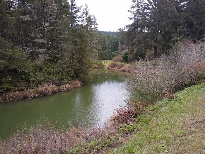 Lakeshore RV Park Picture 9