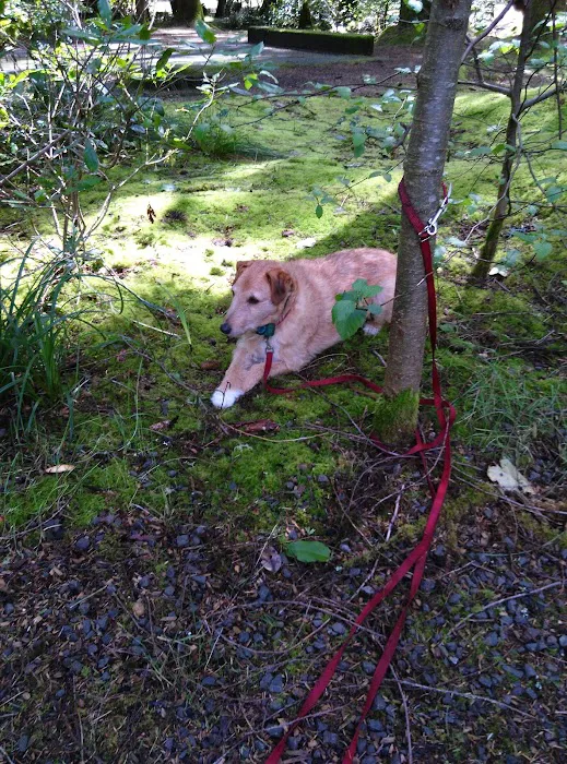 Lakeshore RV Park Picture 1