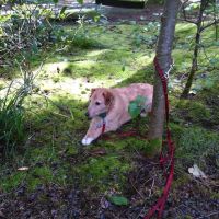 Lakeshore RV Park ico