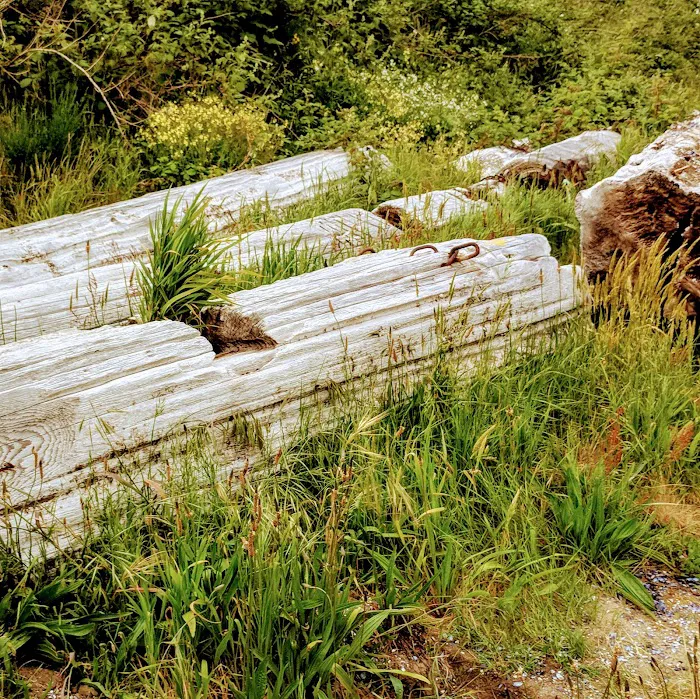 Lakeshore RV Park Picture 10