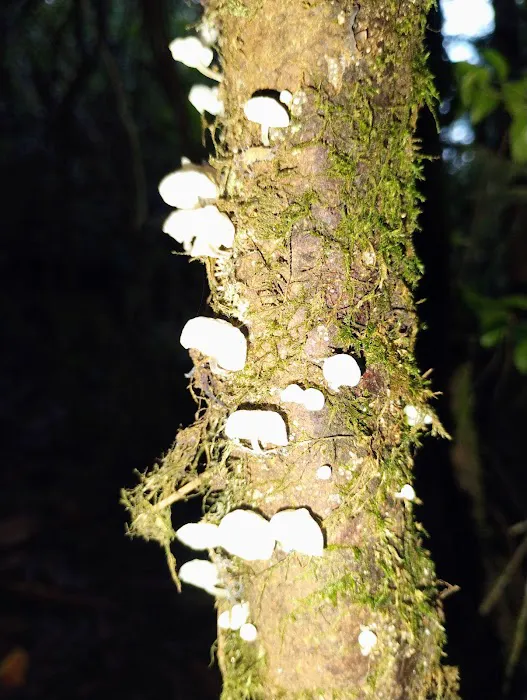 Duneaway Park Picture 4