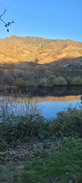 Rivers West RV Park Picture 11