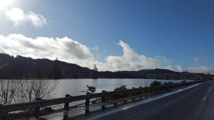 Siuslaw Marina & River RV Park Picture 5