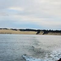 Siuslaw Marina & River RV Park ico