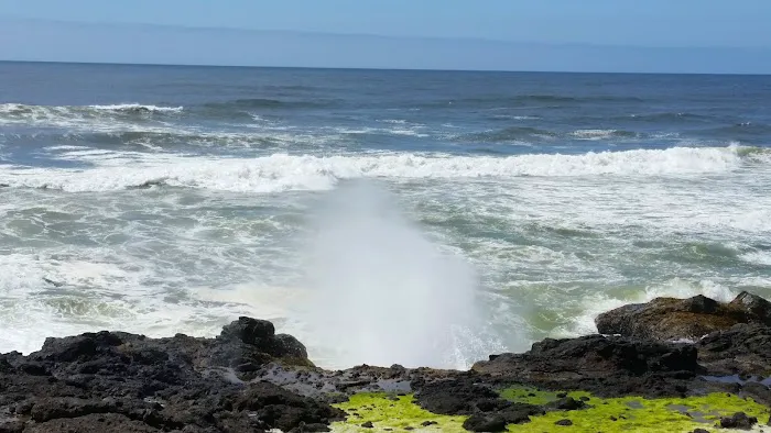 Wayside RV Park Picture 9