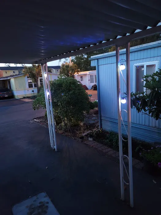 Wayside RV Park Picture 10