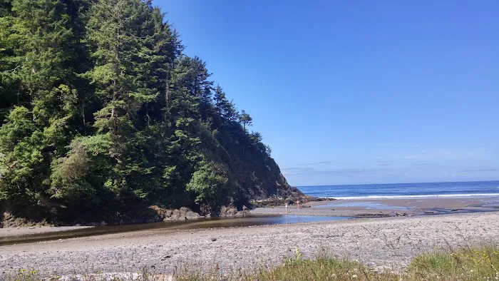 Pacific Pines RV Park & Storage Picture 3