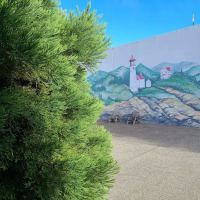 Pacific Pines RV Park & Storage ico