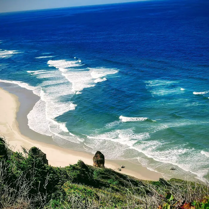 Pacific Pines RV Park & Storage Picture 9