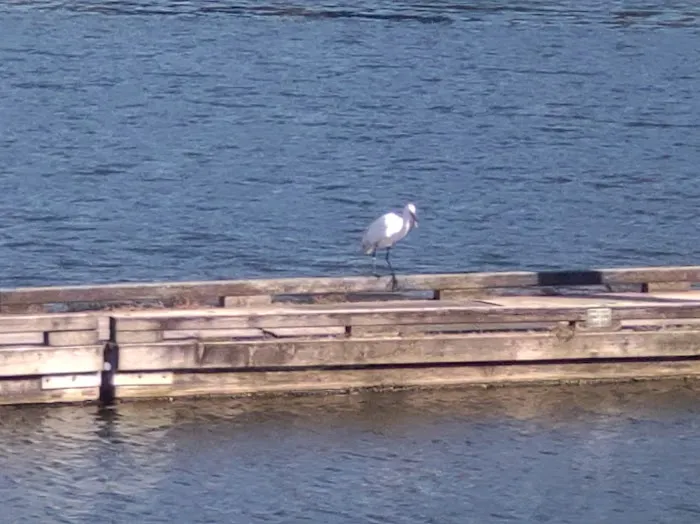 Coast Marina RV Resort Picture 1