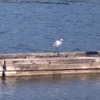 Coast Marina RV Resort ico