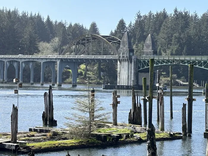 Coast Marina RV Resort Picture 8