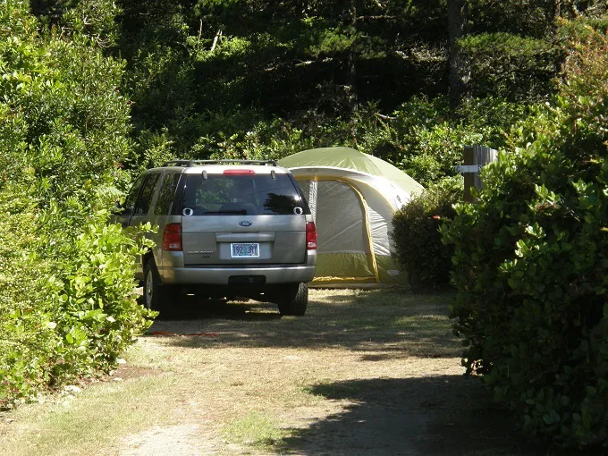 Heceta Beach RV Park Picture 9