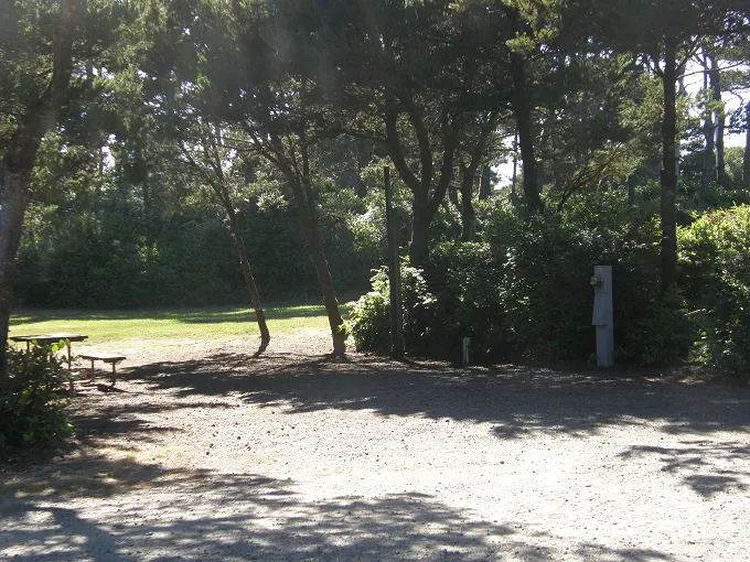 Heceta Beach RV Park Picture 8