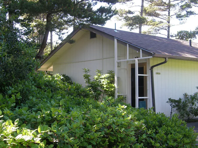 Heceta Beach RV Park Picture 5