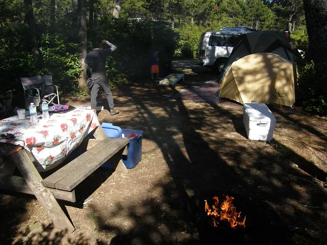 Heceta Beach RV Park Picture 4
