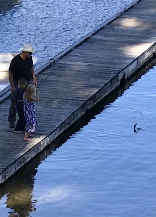 Mercer Lake Resort Picture 11