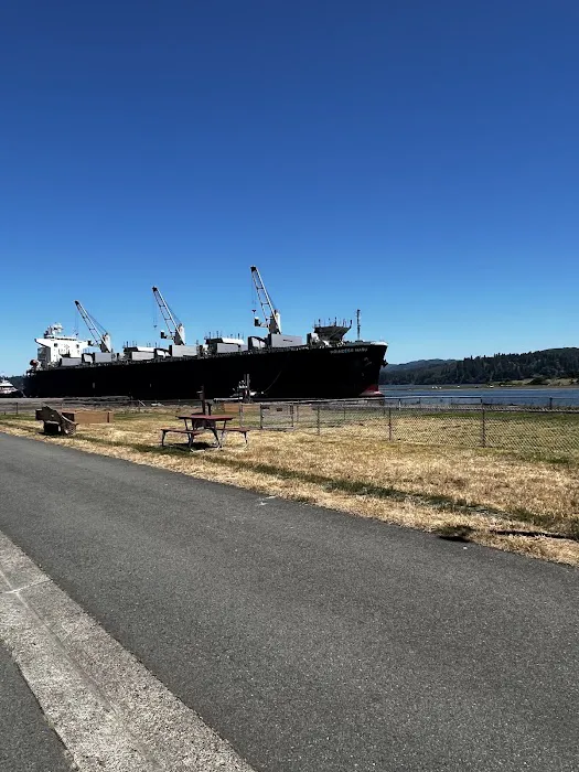 The Mill Casino RV Park Picture 6