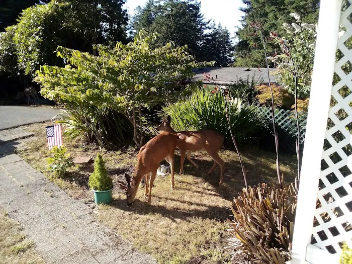 Shorepines Bay Village Picture 9