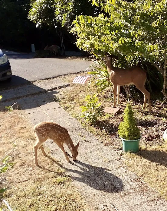 Shorepines Bay Village Picture 10