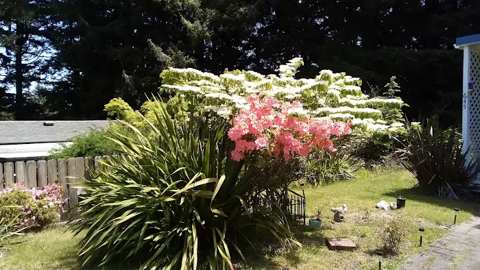 Shorepines Bay Village Picture 6