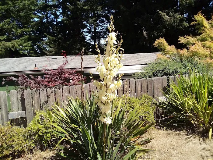 Shorepines Bay Village Picture 8