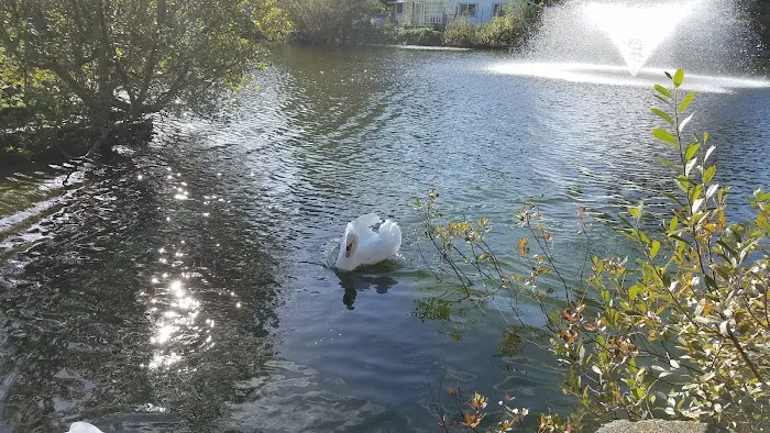 Shorepines Bay Village Picture 3