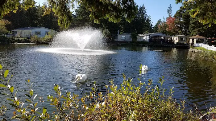 Shorepines Bay Village Picture 4