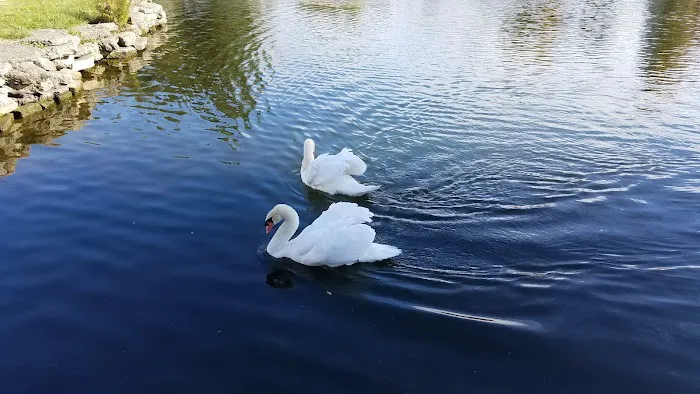 Shorepines Bay Village Picture 5