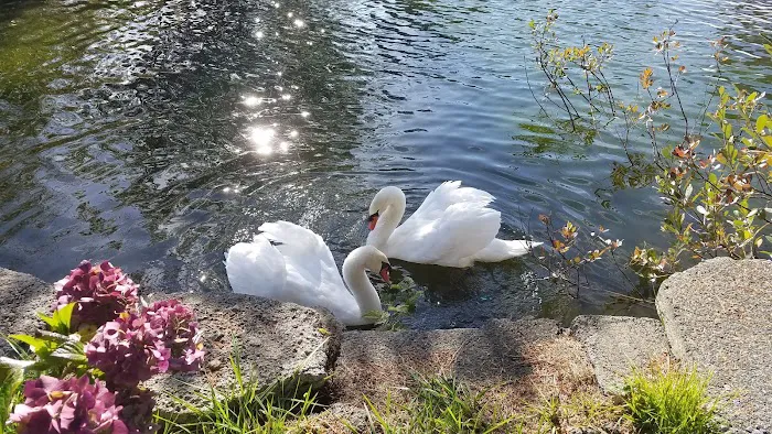 Shorepines Bay Village Picture 2