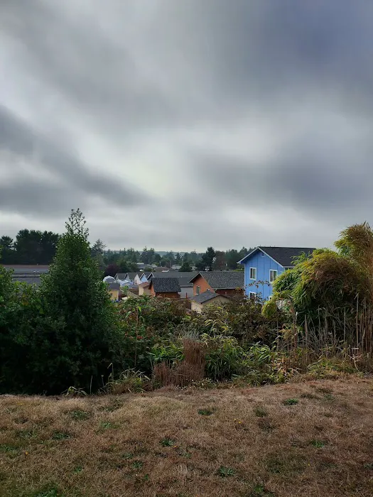 Puerto Vista Mobile Estates Picture 7