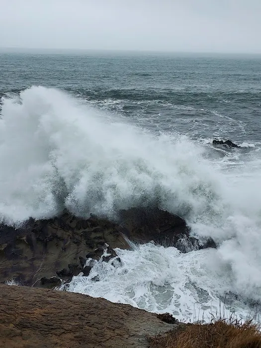 Puerto Vista Mobile Estates Picture 5