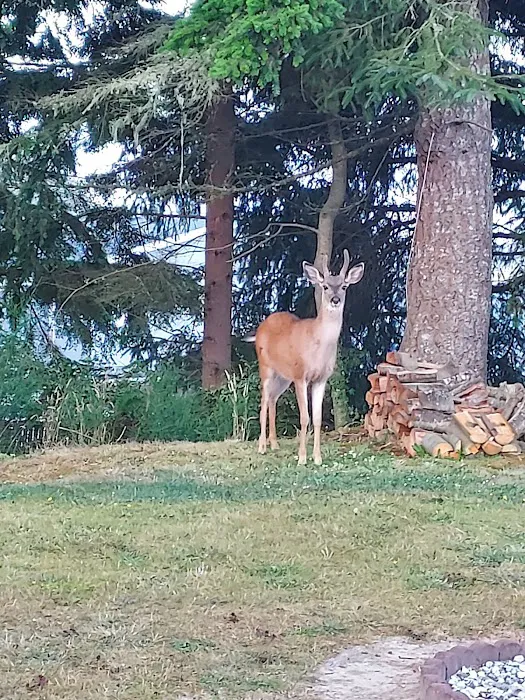 Puerto Vista Mobile Estates Picture 8