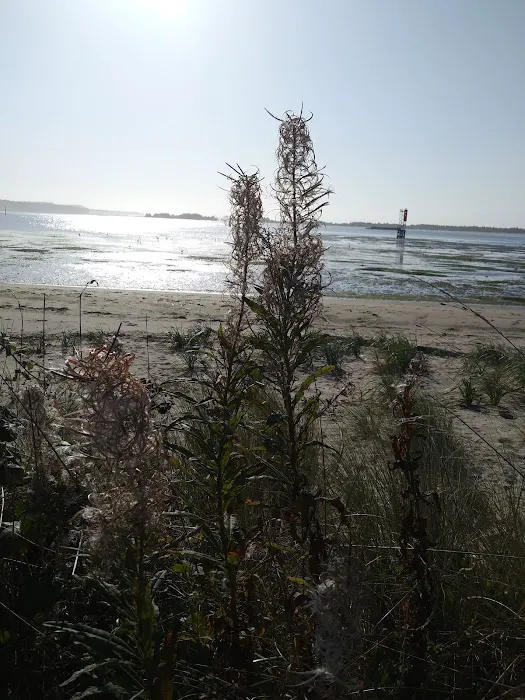 Bayway Trailer Park Picture 1