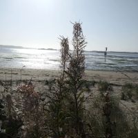 Bayway Trailer Park ico