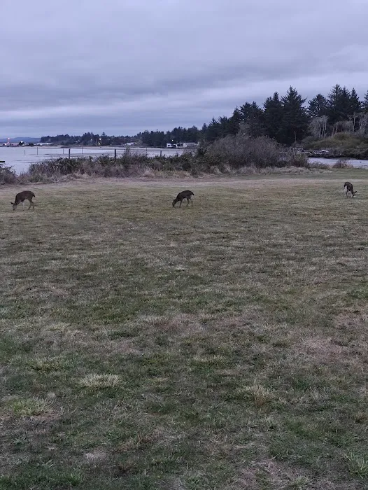 Midway RV Park Picture 7