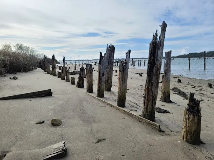 Midway RV Park Picture 5