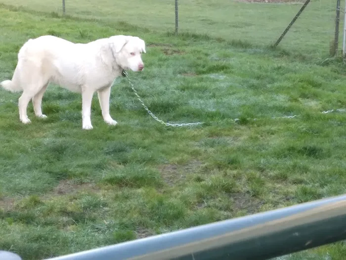 Mystic Woods Mobile & RV Park Picture 7