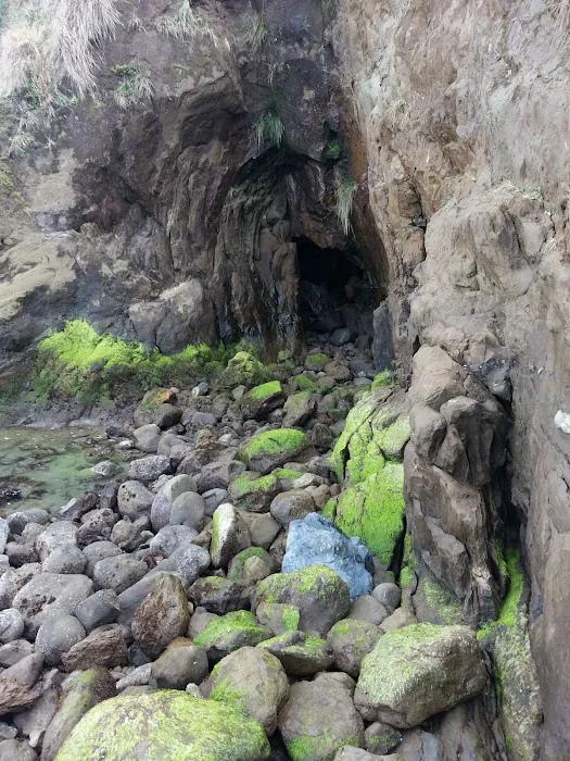 Mystic Woods Mobile & RV Park Picture 10