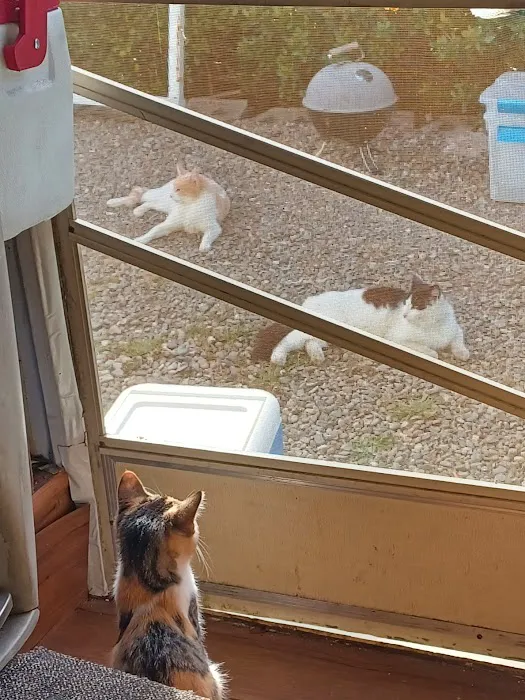 Mystic Woods Mobile & RV Park Picture 6