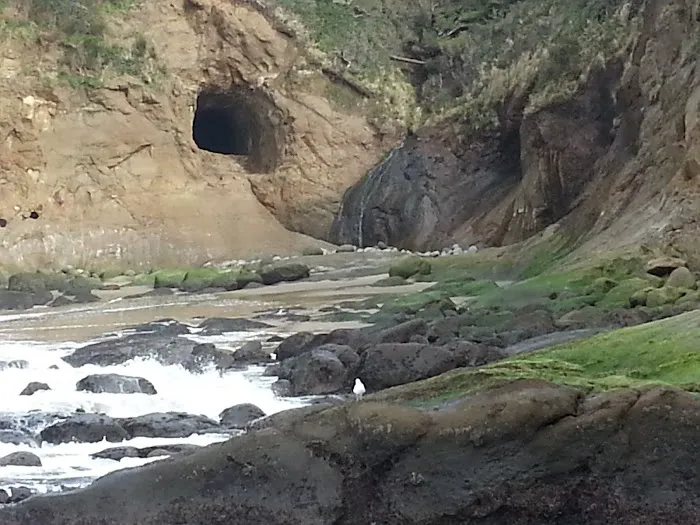 Mystic Woods Mobile & RV Park Picture 5