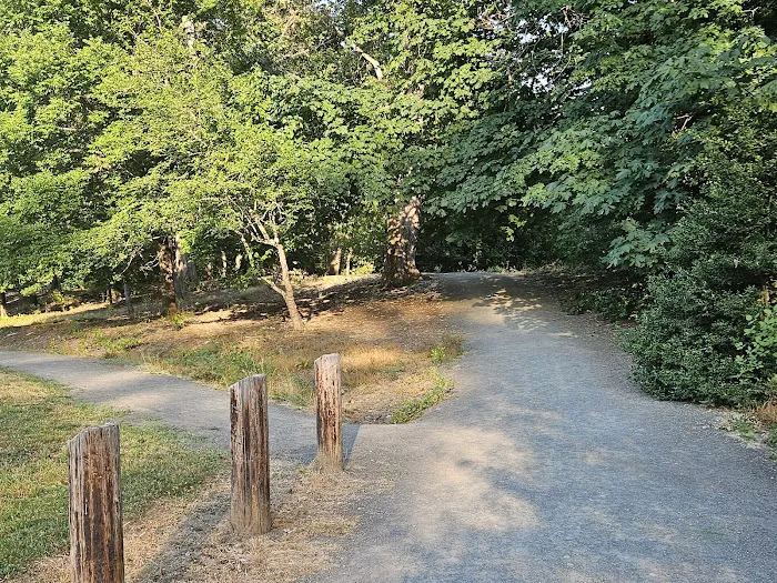 Millsite RV Park Picture 6