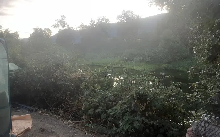 Riverside RV Park Picture 9